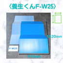 (30枚)養生くん F-W25（ライトブルー）