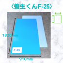 (30枚)養生くん F-25（ライトブルー）