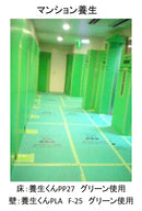 (10枚)養生くん PP-27（緑）