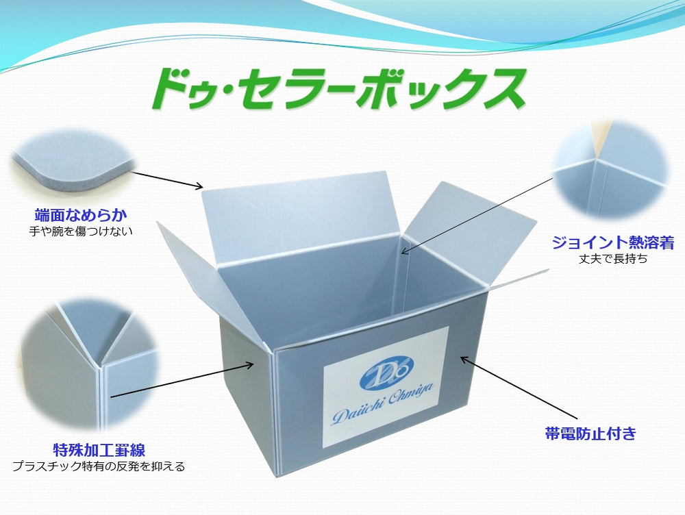 10個)ドゥセラーボックス CX-Ⅰ 120サイズ