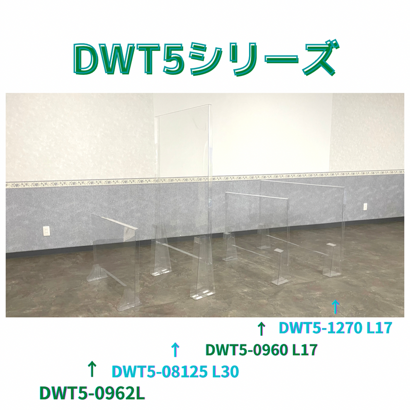 【在庫限り】(10枚)ドゥ・ウォール透明 DWT5-08125L30