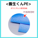 (10枚)養生くん PE-20（青）