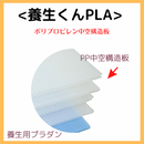 (20枚)養生くん PLA-25B（青）