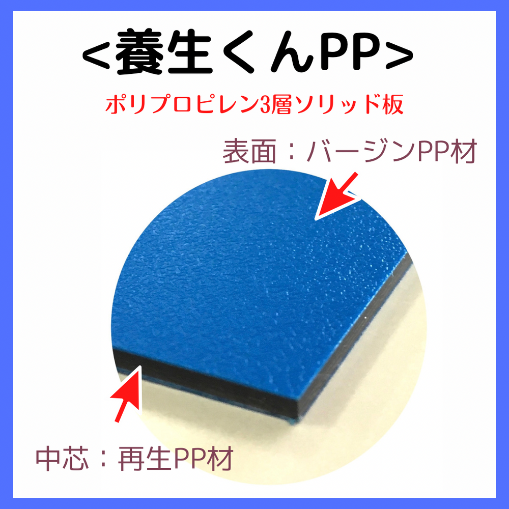 10枚)養生くん PP-23（青）